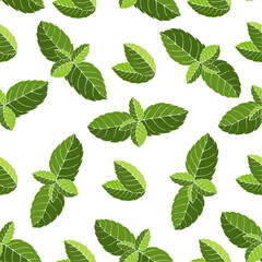 Seamless pattern with green mint leaves.Vector graphics.	