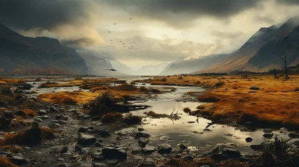 Foto op Aluminium Desolate mountain landscape with river and crows © duyina1990