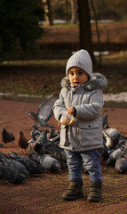 Adorable baby boy feeding pigeons at the park in winter