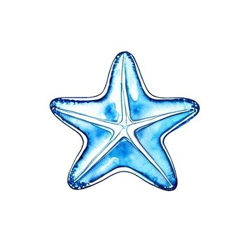 Starfish watercolor illustration on white background.