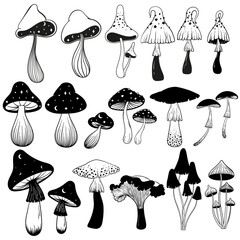 Vector mushrooms and stars contour hand drawn set