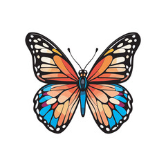hand drawn art style of butterfly colorful illustration