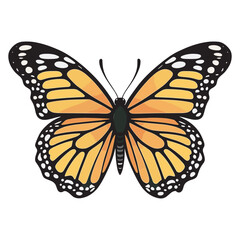 hand drawn art style of butterfly colorful illustration