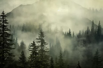 Crédence de cuisine en verre imprimé Forêt dans le brouillard Foggy Mountains and Trees