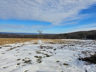 landscape in the mountains
