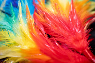 détail de plumes de couleur pour la fête