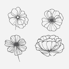 Obraz premium Set of Botanical arrangement of leaves branches and blooming flowers. Vector ornamental herbs and wildflowers for bouquet. Wedding design.vector flowers illustration