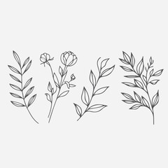 Set of Botanical arrangement of leaves branches and blooming flowers. Vector ornamental herbs and wildflowers for bouquet. Wedding design.vector flowers illustration