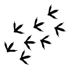 animal footprint icon