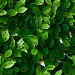 textura hojas verdes de arbol y zarza generado por ia con fondo blanco