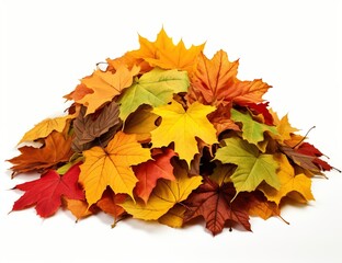 Naklejka na ściany i meble A pile of colorful autumn leaves