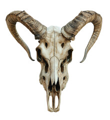 Male Goat Skull.  Ethereal Clipart Art Infused with Ritualistic Symbolism.  PNG Cutout For Art And Designs.  - obrazy, fototapety, plakaty
