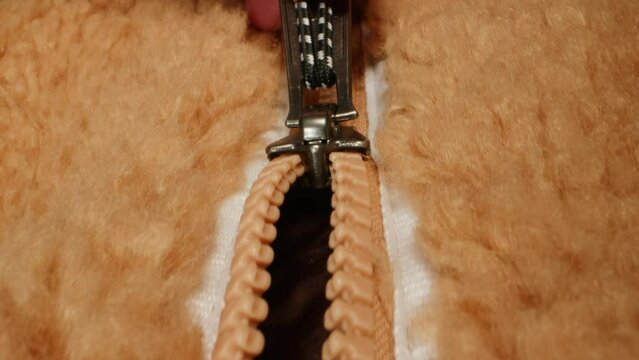 Footer textile cloth texture close-up macro. Jacket with zipper Fashion fabric multicolor. Sheep wool for clothes 