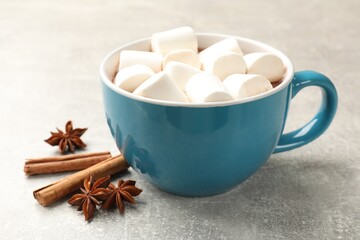 Obraz na płótnie Canvas Tasty hot chocolate with marshmallows and spices on light grey table, closeup