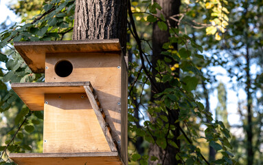 A birdhouse on a tree trunk on a summer day.