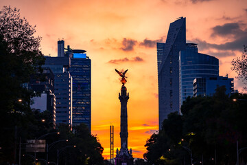 The Angel of Independence statue placed on Promenade of the Reform in Mexico city between tall buildings against colorful orange sunset sky in evening - obrazy, fototapety, plakaty