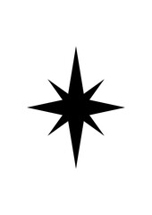 compass rose star vector