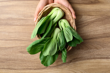 Bok choy or Pak choi (Chinese cabbage) in basket holding by hand on wooden background, Table top view - obrazy, fototapety, plakaty