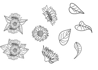 Set of luxury Sunflower flowers and logo. Trendy botanical elements. Hand drawn line leaves branches and blooming. Wedding elegant wildflowers for invitation save the date card