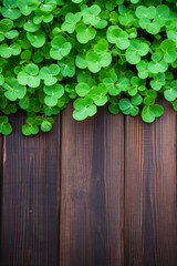 Fototapeta premium green leaves on wooden background