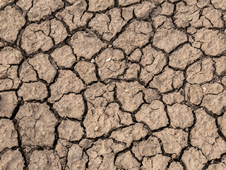 Fototapeta premium Natural texture of beautiful dry soil