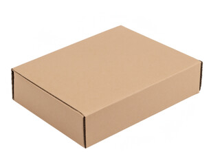 brown cardboard box for a delivery service isolated on white background