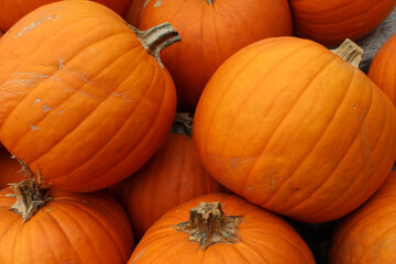 Stack of Pumpkins 