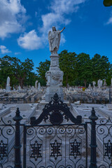 The Colón cemetery is declared a National Monument of Cuba. With its 57 hectares, it is the most...