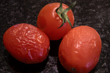 Close up shot of over ripe tomatoes.