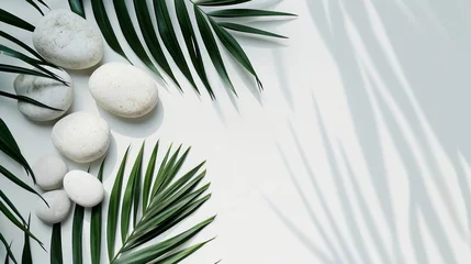 Fototapete Badezimmer Top view of natural white stones and palm leaves on a white background. Spa background, top view. A tropical summer background for luxury product placement  © ND STOCK