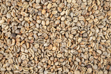 Coffee beans are selected when abnormalities and imperfections are found.