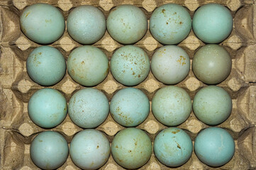 duck eggs neatly arranged in an egg box or tray to be processed into salted eggs