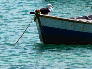 bote flotando en el agua