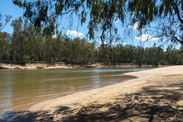 Thomsons Beach with red gums Eucalyptus on the Murray River in Cobram. It is Australia's largest inland beach and a popular attraction place in regional Victoria for water activities.