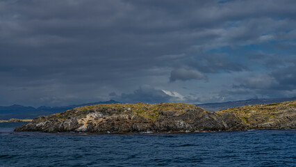 Fototapeta premium A small rocky island with sparse vegetation in the Beagle Channel. A group of sea lions lies on the cliffs slope. Cormorants fly. Ripples on the blue water. Clouds in the sky. Isla de los lobos.