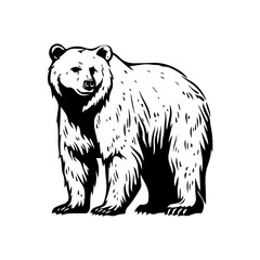 Bear black silhouette logo svg vector, Bear icon illustration