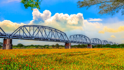 The spectacular Warren Truss Old Railway Bridge over scenic flower field, attractive cloudy...