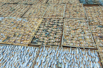 Dried salted fish in open space at Omadal island, an island mainly inhabited by sea Bajau.