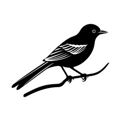 Black drongo bird silhouette logo svg vector, drongo icon illustration.