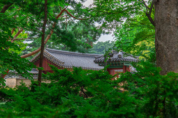 한국의 전통을 볼 수 있는 종묘, 창경궁의 모습