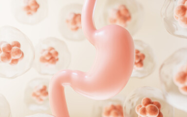 Human stomach and cell background, 3d rendering. - obrazy, fototapety, plakaty