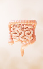 Intestinal tract with digestive health concept, 3d rendering.