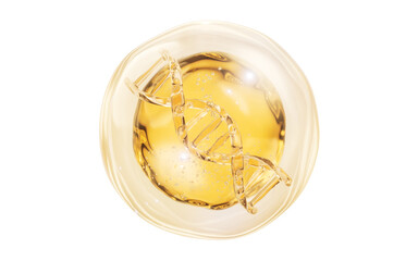 DNA and golden liquid bubble, 3d rendering.