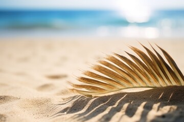 Fototapeta na wymiar Tropical coconut leaf on sand beach summer holiday background