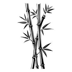 Silhouette bamboo leaves