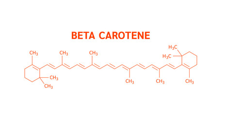 Molecular structure beta carotene orange. Extract from natural fruits and vegetables. Vitamins fiber nutrients essential for intestine. Health care. Helps build a strong immune system. Vector EPS10.