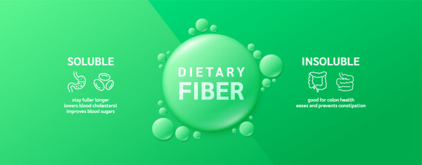 Fiber soluble vs insoluble. Dietary fiber drop water green from natural fruits vegetables. Nutrients essential for intestine. lowers cholesterol improves blood sugars prevents constipation. Vector. - obrazy, fototapety, plakaty