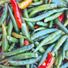 Green and red bird's eye chilli