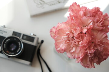 pink carnation and camera on table