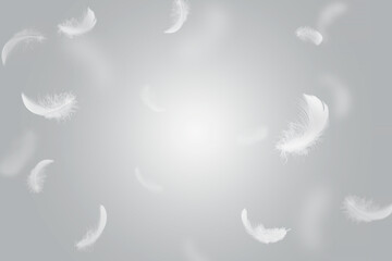 Abstract White Bird Feathers Floating in The Sky. Freedom, Feather Softness, Feathers falling in...